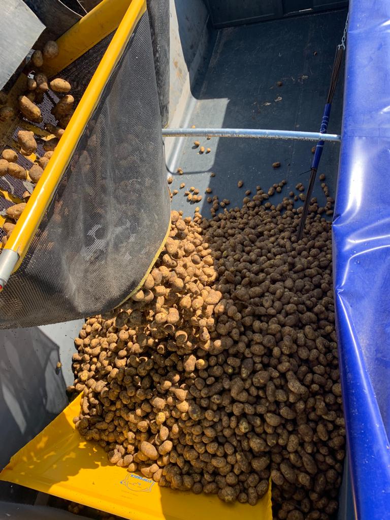 Kartoffel-Fallsegel zum Schutz beim Einfüllen, im Container montierbar zur schonenden Aufnahme von Erntegut